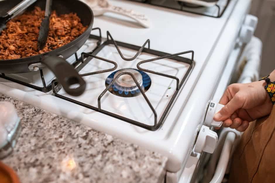 Usar Aceite de Freidora: &iquest;Cu&aacute;ntas Veces?