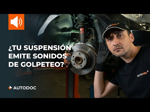 ¿Cómo se llaman las barras que se mueven con el sonido? ¿Cómo se llaman las barras que se mueven con el sonido?