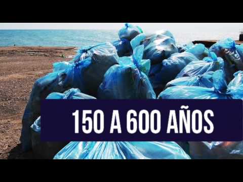 &iquest;Cu&aacute;nto tiempo dura la bolsa de papel?