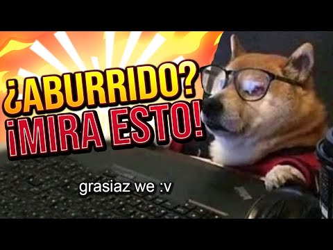 &iquest;Qu&eacute; hacer cuando est&aacute;s aburrido en el ordenador?