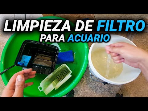 &iquest;C&oacute;mo se limpia el filtro?